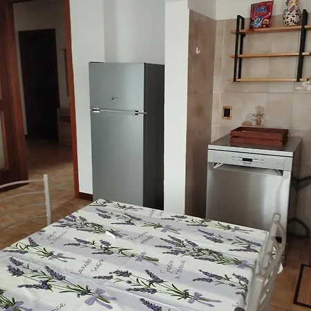 Ortensia - * 메이나